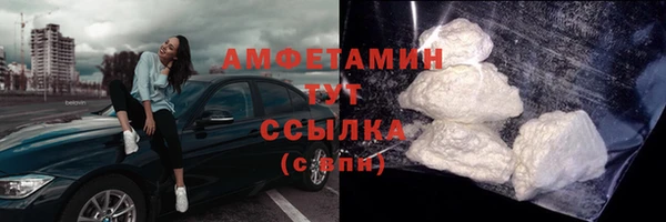 гидра Белокуриха