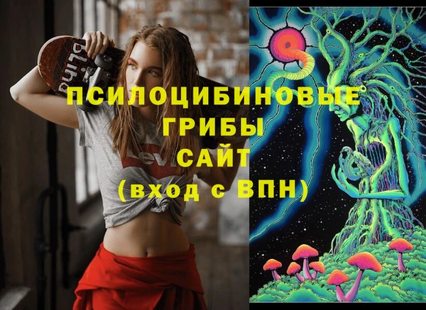 гидра Баксан