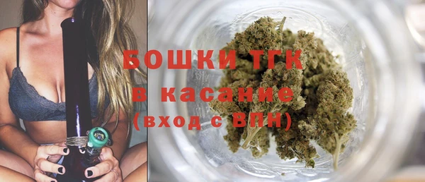 гидра Белокуриха