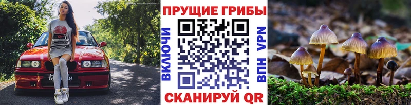 Галлюциногенные грибы ЛСД  Сосновый Бор 